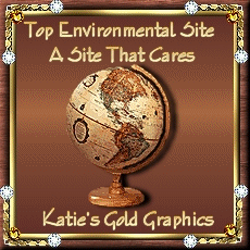 Katie's Gold Graphics